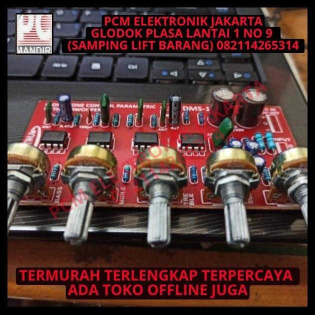 BEST DEAL KIT MINI PARAMETRIK PARAMETRIC SUBWOOFER MONO TONE CONTROL DMS 198 