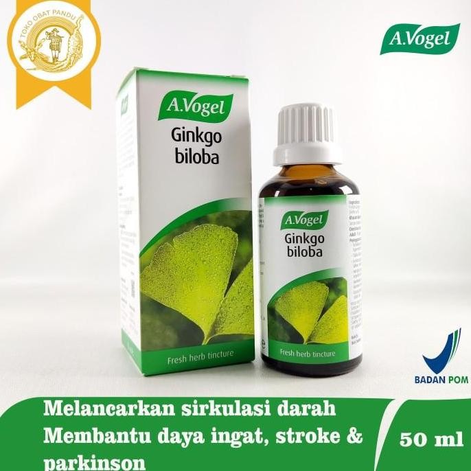 AVOGEL GINKGO BILOBA / OBAT DAYA INGAT