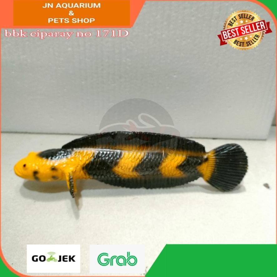 MAINAN CHANA CHANNA YELLOW SENTARUM BAHAN RESIN UK. _+25 CM