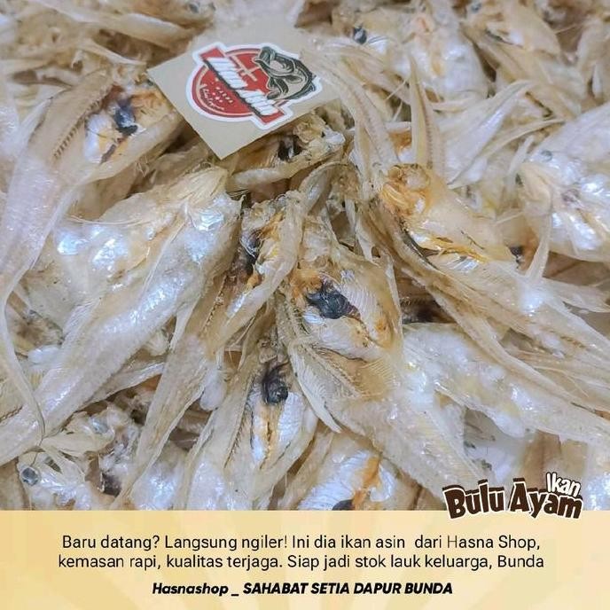 

1KG Ikan Asin Bulu Ayam Murah - Makanan Goreng Food - Hidangan Lezat Kering Pedas