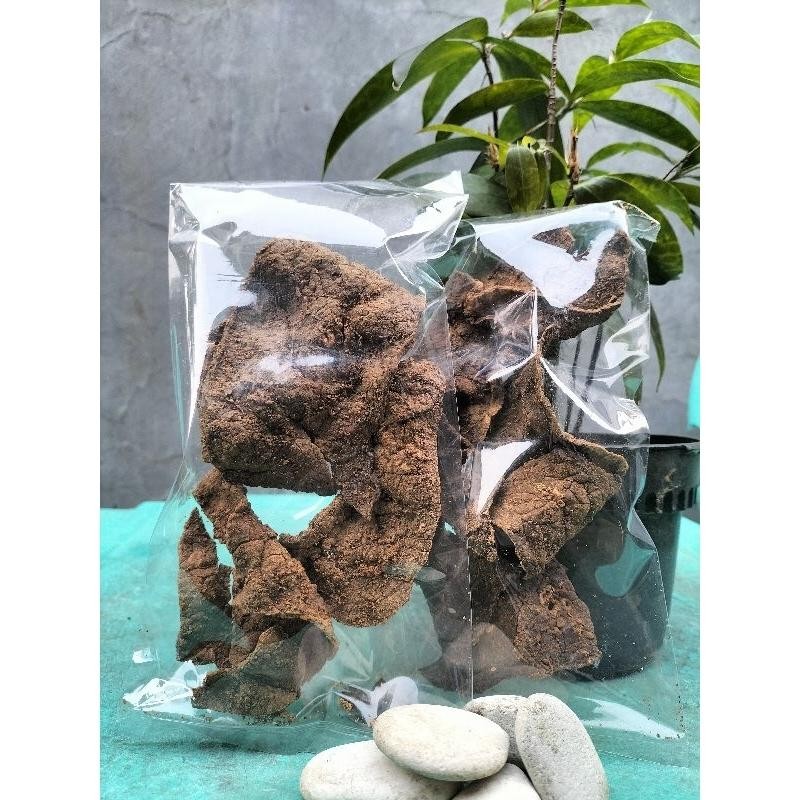 

FM Dendeng Paru Goreng Khas Padang Gurih Seimbang