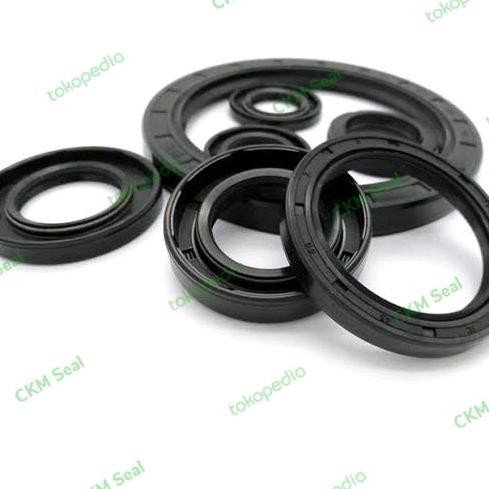 ready Oil Seal TC 170*205*15 NBR TW