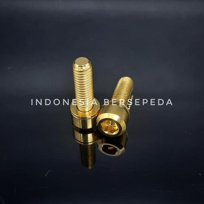 Titanium Bolt M6x20mm - Baut Titanium Sepeda