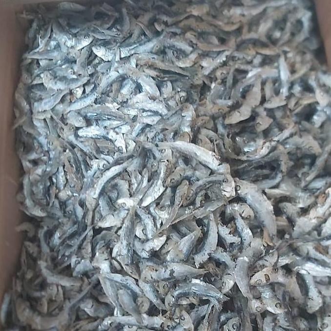 

Ikan Asin Lemet Rebus 500 Gram