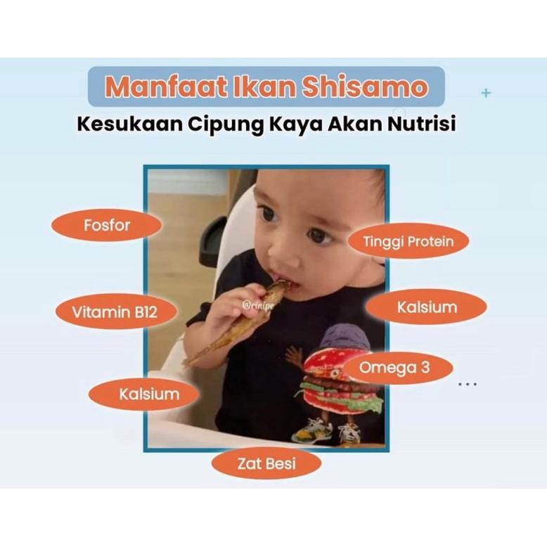 

[Kecil Ikan Cipung Shisamo Capelin Full Telur Premium Gha-65