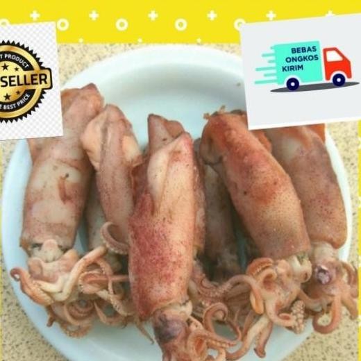 

ikan asin cumi suntung/jarum/telor/super kering/250 gr