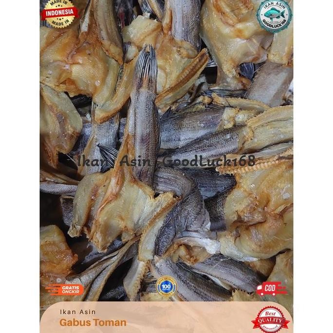 

Ikan Asin Gabus Toman Asli Kalimantan