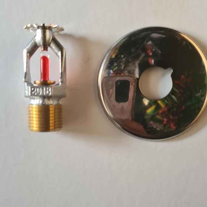 ready head splinker pendent viktaulic