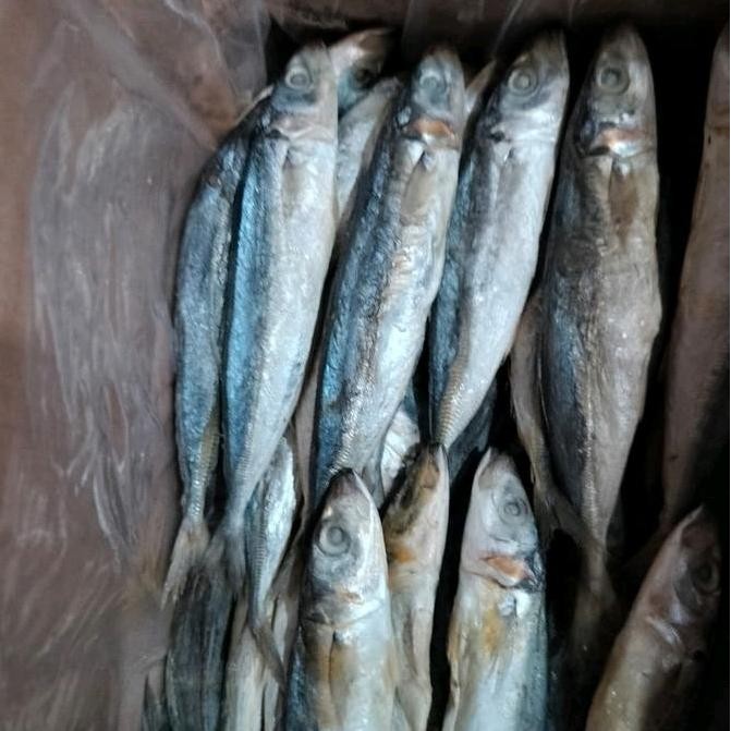 

ikan peda 1000gram/layang/ikan asin