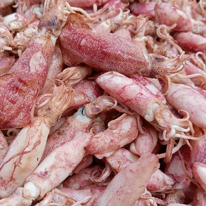 

CUMI ASIN REBUS 500gram Ukuran 4-6cm Ikan Asin Makanan laut