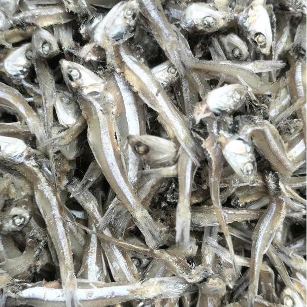 

Ikan Asin Teri Jengki utuh-Bulat VIP - Teri jengki 500 gram