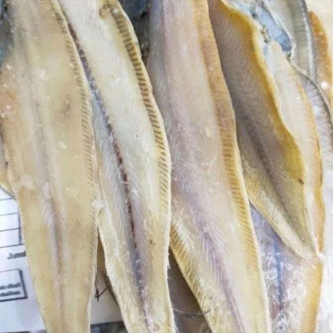 

KOLEKSI BARU Ikan Asin Lidah Khas Medan/Mentah Kering 1 kg