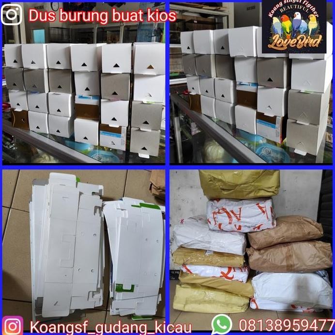 

dus burung 30 pcs murah