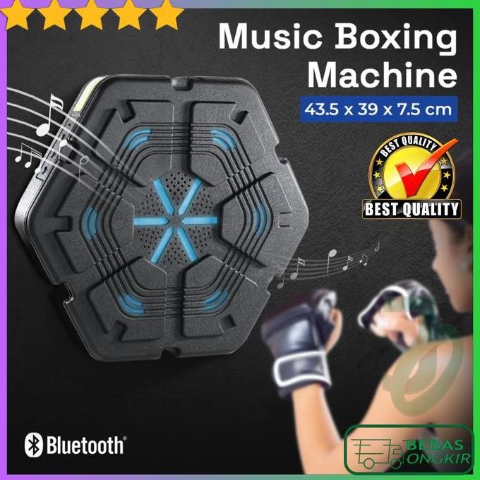 TERLARIS Music Boxing Target Machine Mesin Tinju Musik Bluetooth APWIKOGER AG5