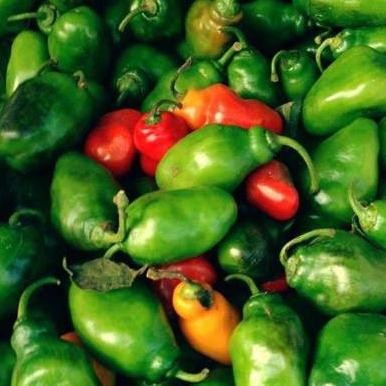 

Premium Terbaik 250Gr Cabe Gendot Cabai Bendot Segar