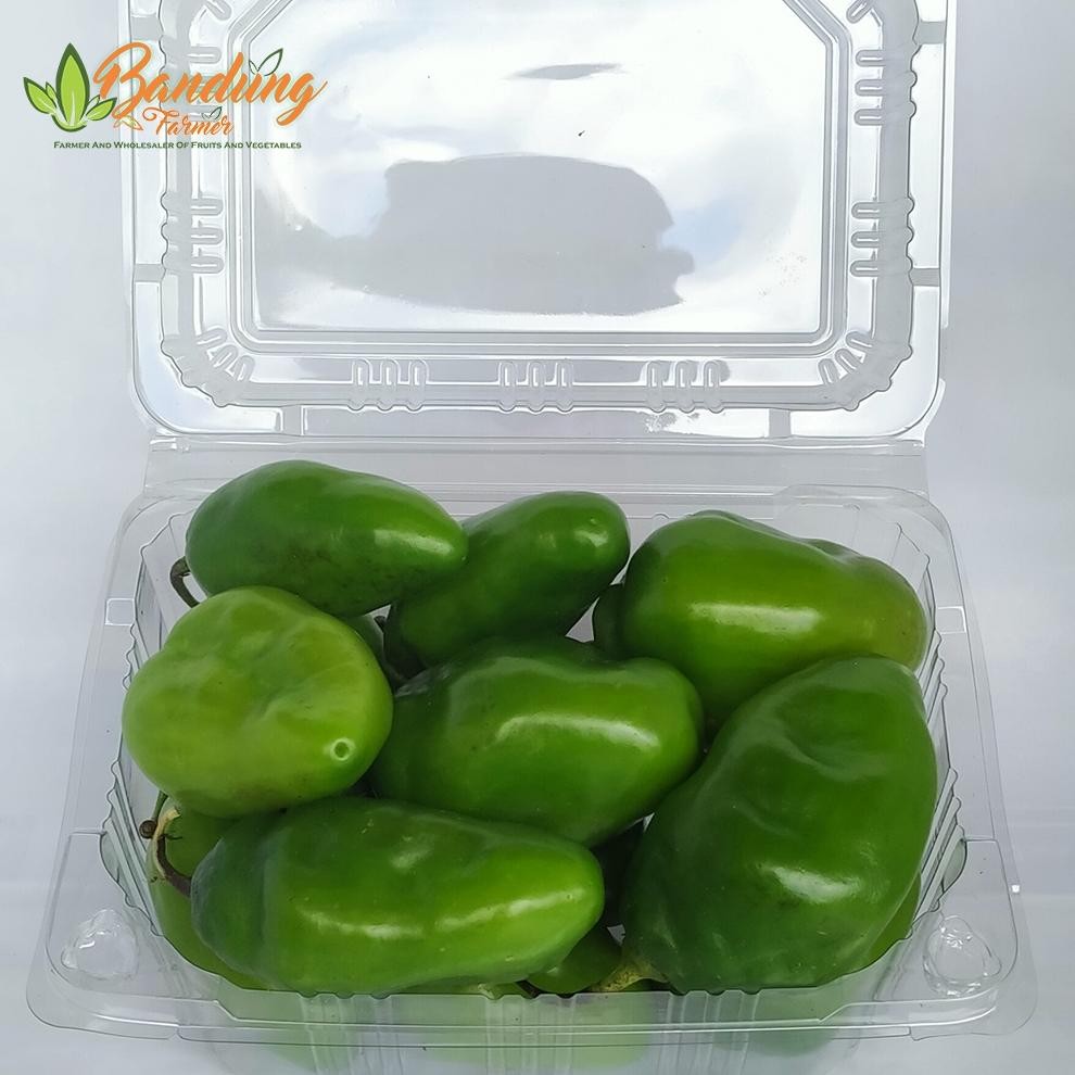 

Premium Terbaik Cabe Gendot Bandung 250 Gr Fresh