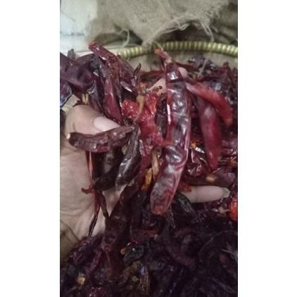 

Revolusioner 1Kg Cabe Merah Besar Infor Tanpa Tangkai