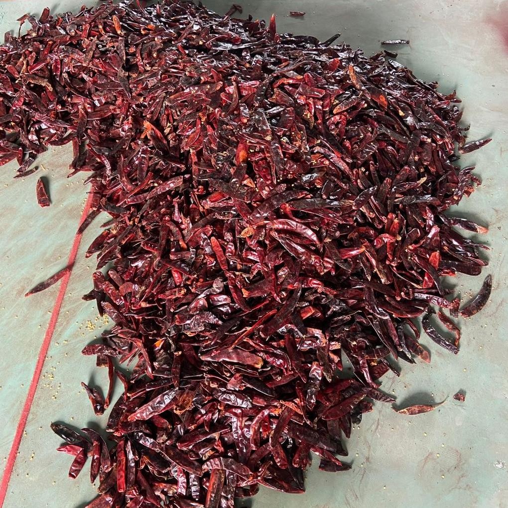 

Tahan Lama Cabe Merah Kering Besar Wonder Hot 1 Kg Tanpa Tangkai Tidak Pedas Bumbu Merah Kualitas Premium