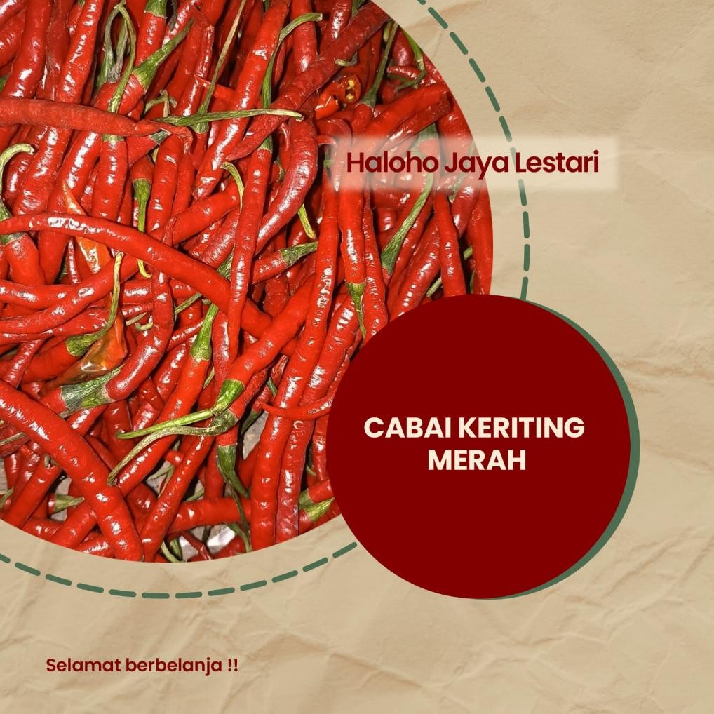 

Menarik Cabai Merah Kriting Fresh 1 Kg