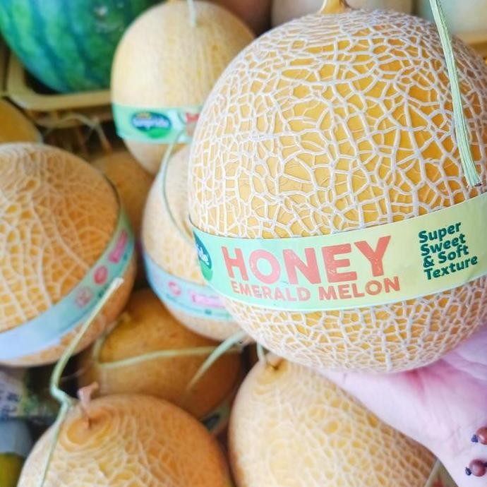 

TERMURAH MELON MADU SEGAR MANIS BUAH FRESH 1KG BUAH SEHAT COCOK UNTUK DIET & CEMILAN