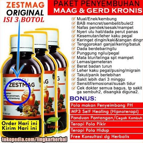 

TERMURAH MADU ZESTMAG PAKET GOLD - BELI 2 GRATIS 1 MADU HERBAL MAAG GERD ASLI