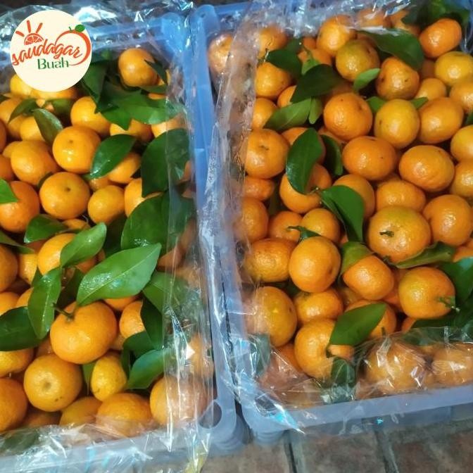 

TERMURAH BUAH JERUK SANTANG MADU 1 KERANJANG - JERUK MANIS SEGAR