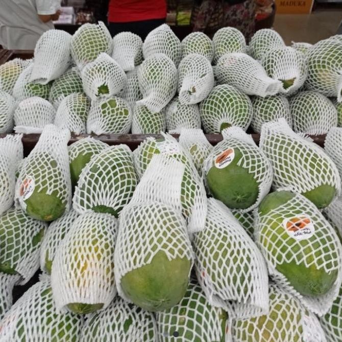 

TERMURAH PEPAYA HAWAI MADU 1KG BUAH MANIS DAN SEGAR LANGSUNG DARI KEBUN