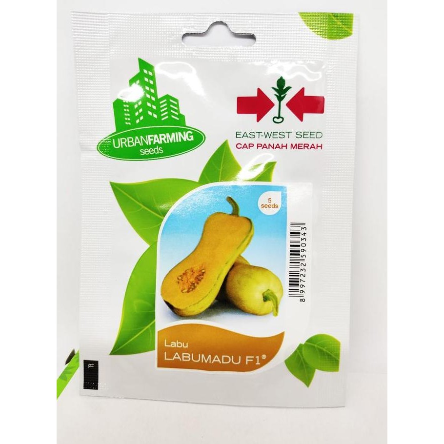 

TERMURAH BIBIT LABU MADU F1 CAP PANAH MERAH BENIH TANAMAN MANIS HARGA TERJANGKAU