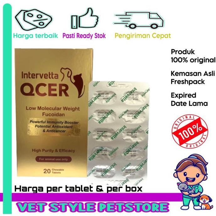 Promo Intervetta Qcer - Obat Tablet Kanker Tumor Anjing Kucing