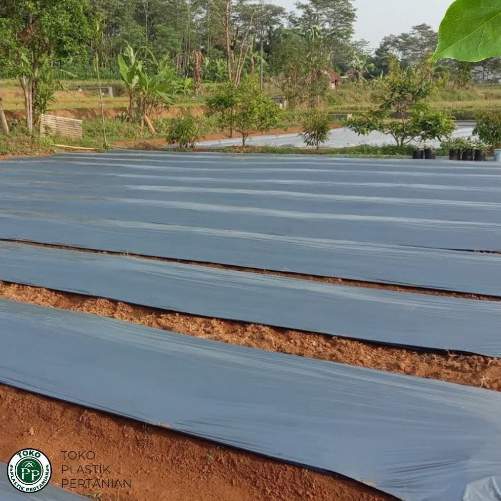 Mulsa Plastik Mulsa Hitam Perak 1 Roll 5 Kg - Tebal Kuat Bagus Murah Elastis Terbaik
