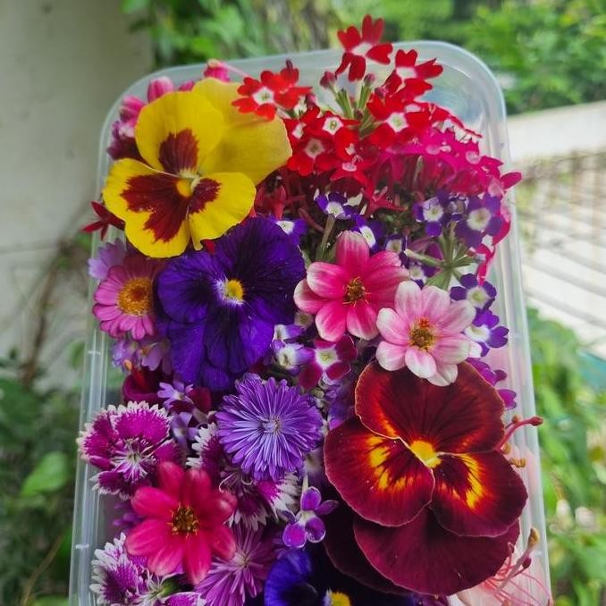 

LM Mixed Edible Flower (25 pcs) - campuran Hotel & Resto