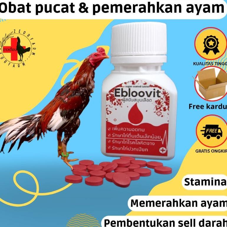 NEWW ebloovit vitamin untuk ayam pucat anemia penambah darah dan stamina isi 100 tablet zeorfarm