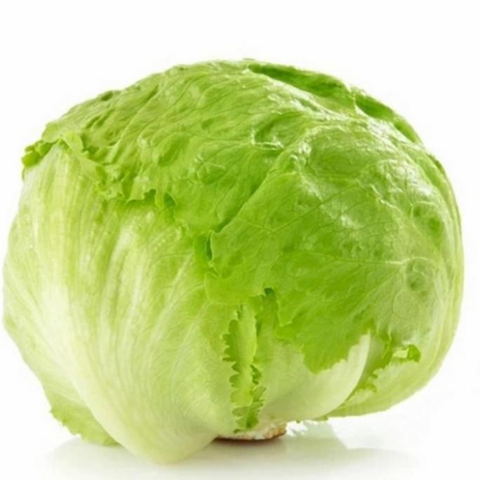 

New Selada Bulat Butterhead Fresh 500gr / Head Lettuce Sayur Segar Per Pack