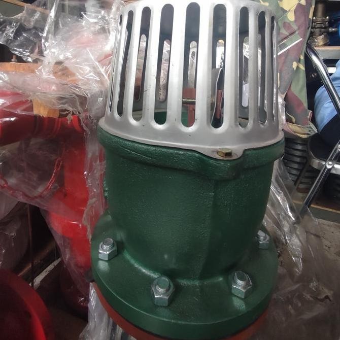 Foot Valve 6Inch Mizzu Flange