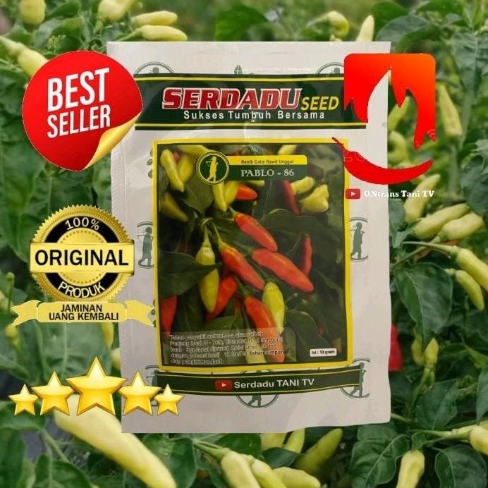 Benih Cabai Rawit PABLO 86 10gr. Serdadu Seed