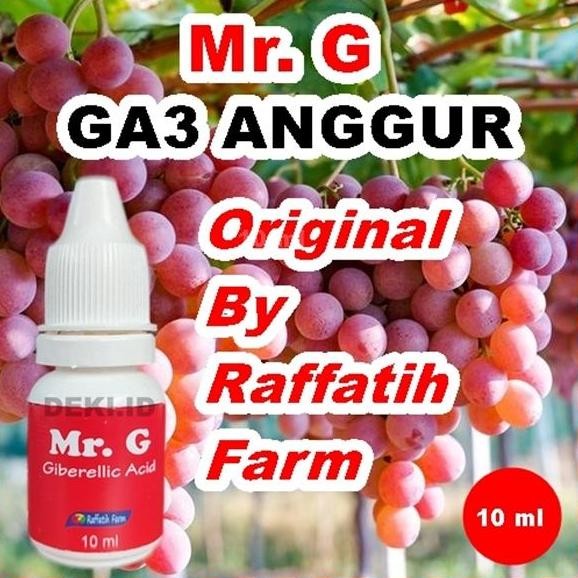 Mr. G GA3 Untuk Tanaman Anggur By Raffatih Farm GA 3 MMZ
