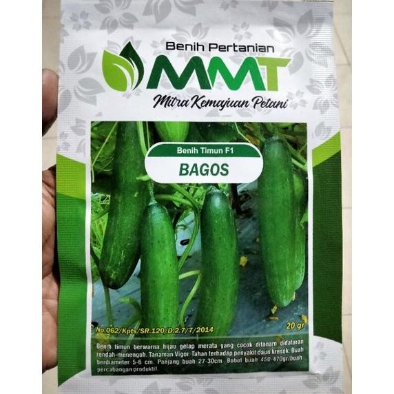 Benih Timun F1 BAGOS MMT SEED 20 Gram - Bibit Timun BAGOS BAGUS Ketimun Mentimun