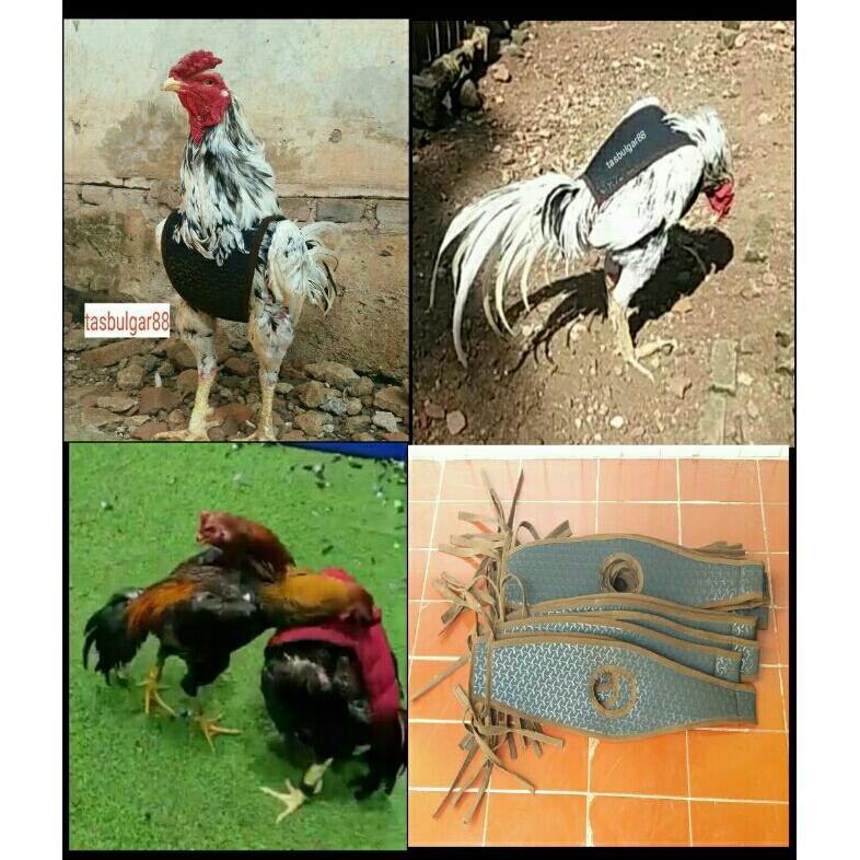 Baju ayam UNTULAN,Pelindung brangkot. DiM