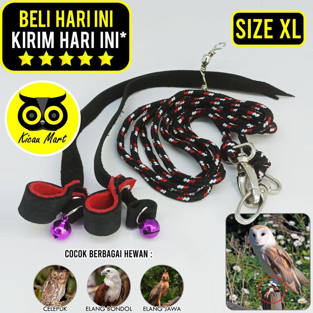 KICAU MART ANKLET CELEPUK SIZE  XTRA LARGE XL ANGKLET CELEPUK TALI KAKI BURUNG HANTU BUFFY FISH OWL 