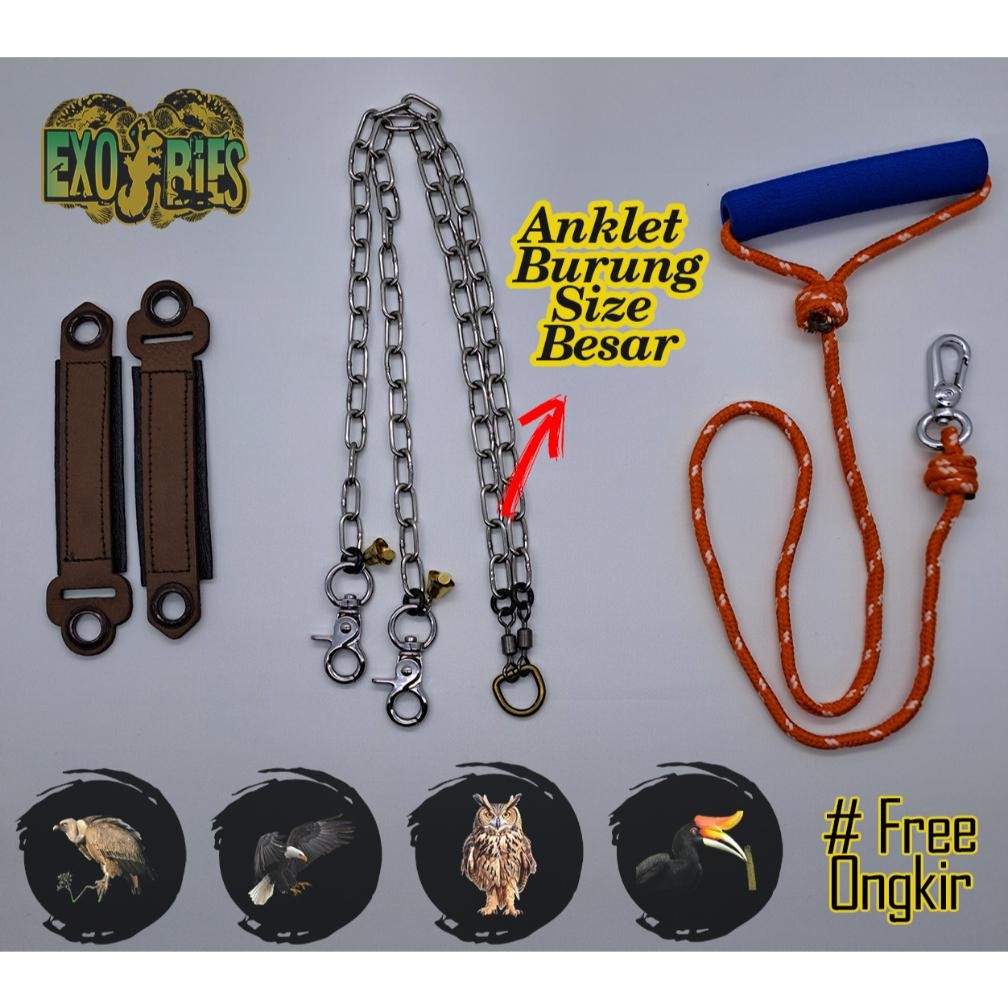 Anklet Elang Anklet Burung Hantu Angklet Elang Angklet Owl Anklet Rangkong Rantai Burung Anklet Bubo