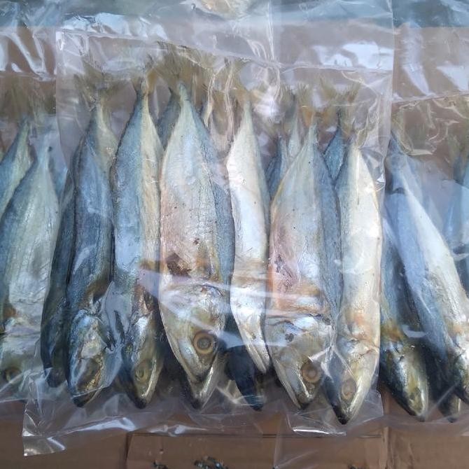 

Ikan Asin Peda Kembung 500 Gram