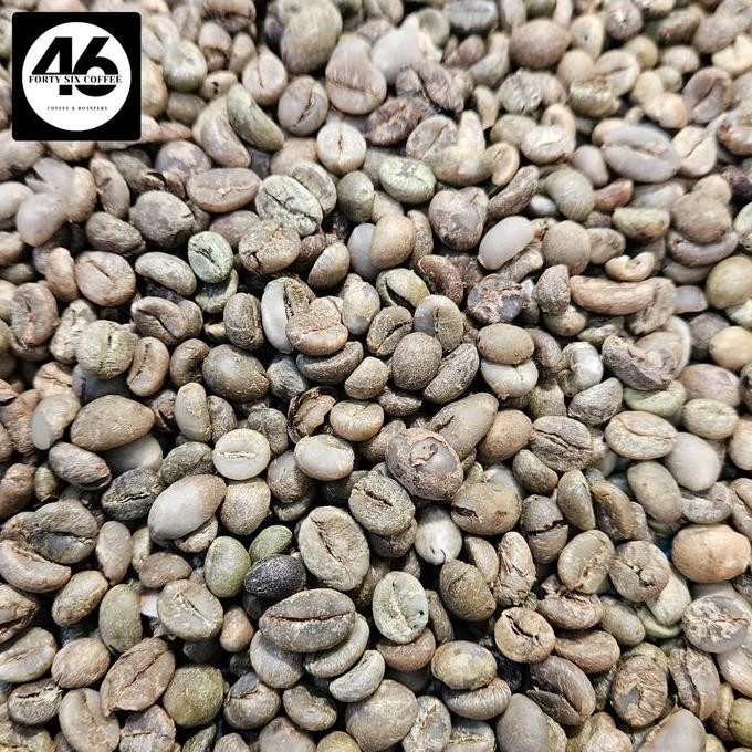 

READY GREEN BEAN ROBUSTA MANDHELING SIPIROK - BIJI KOPI MENTAH GRADE 1