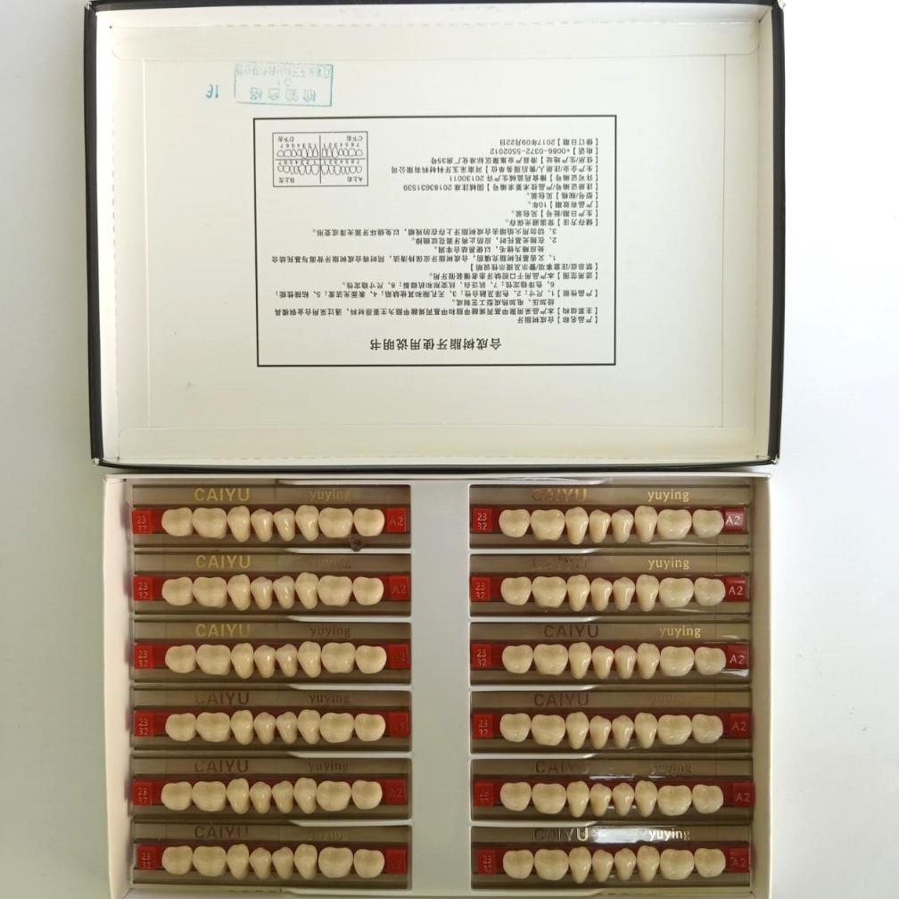 Gigi Palsu Graham Bawah 1 Box/Kotak/Pack Isi 12 Papan Caiyu/Permanen/Lepas Pasang Nugi