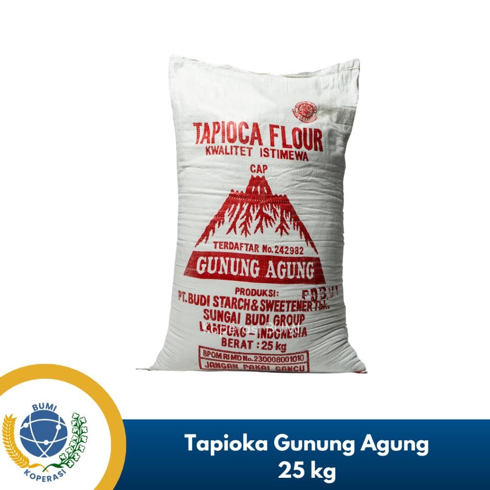 

Tepung Tapioka Aci Gunung 25 Kg Ekstrak Singkong Nugi