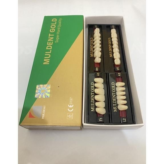 Gigi Muldent Gold Fullset Keramik Berkualitas Nugi