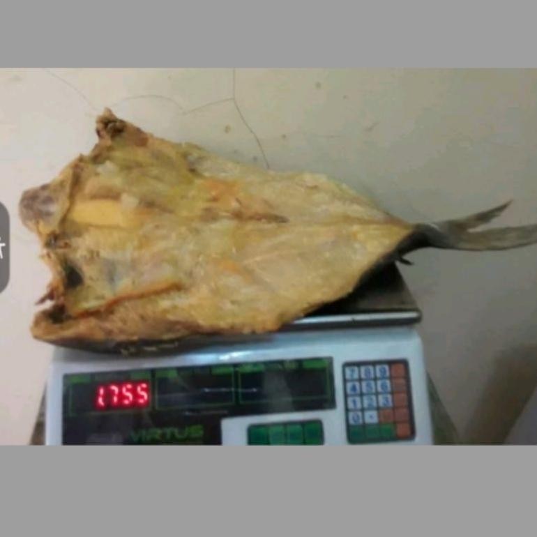 

IKAN JAMBAL ROTI SUPER MENTEGA NO1 SEMI KERING OLEH OLEH KHAS PANGANDARAN