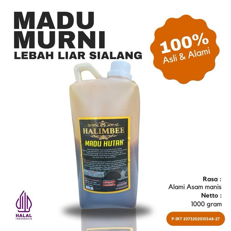 

Madu Murni Lebah Liar Sialang Nektar Akasia 1 kG - HALIMBEE Nugi
