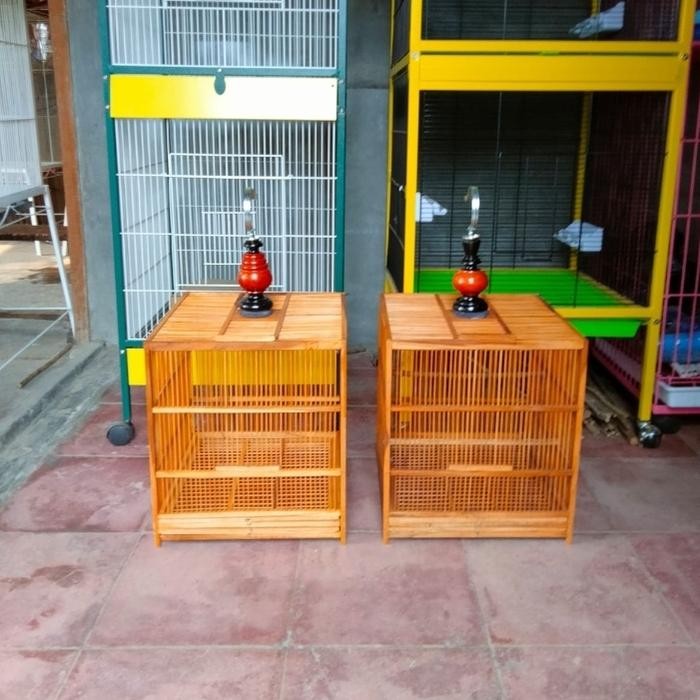 Kandang kotak jinakkin wambi bahan jari jari rapet kayu jati P35x35x38