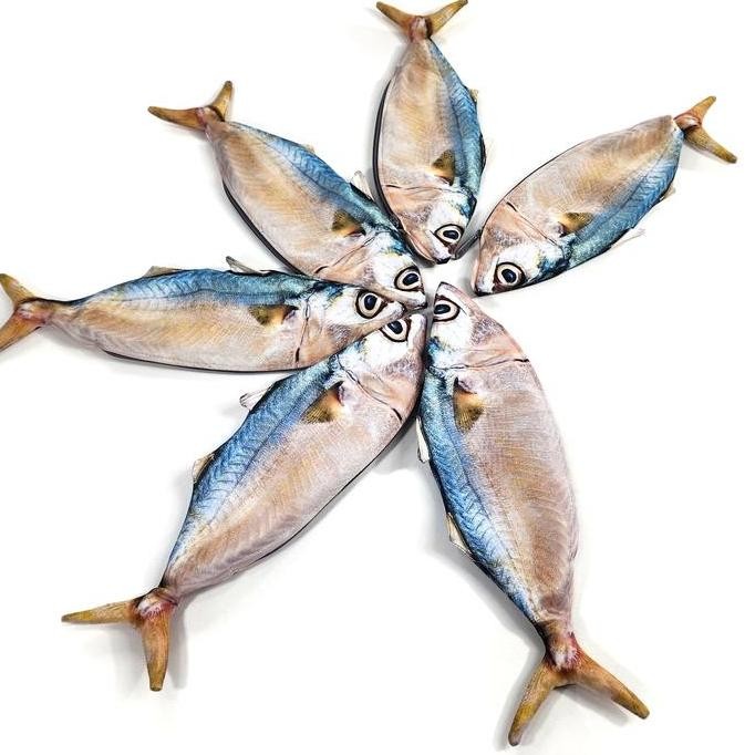 

Tempat Pensil Bentuk Ikan Kembung Mentah Lucu Unik Asli Kreasi Indonesia Pouch Makerel Lokal Shrelo Flirty