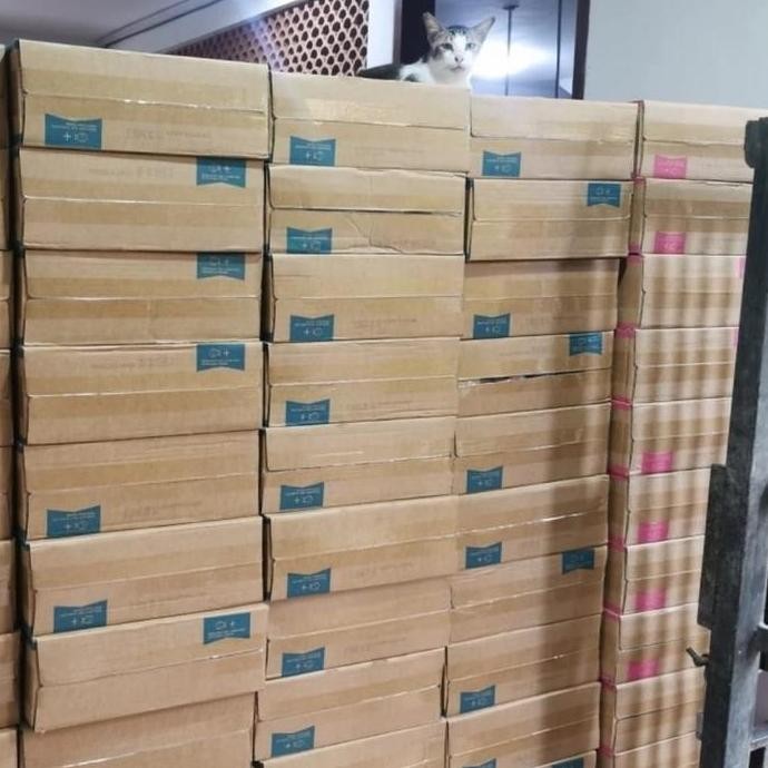 TERLARIS - Makanan Kucing Life cat kaleng 1 dus Life cat dus 1 box Life Cat dus